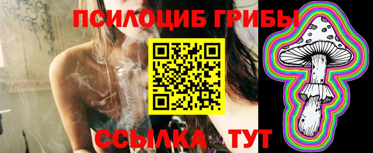 Галлюциногенные грибы Cubensis  Псилоцибиновые грибы прущие грибы  Вход с VPN  Воскресенск 